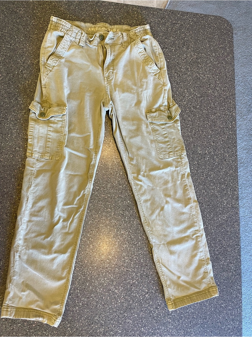 American Eagle Outfitters Olive Cargo Pants